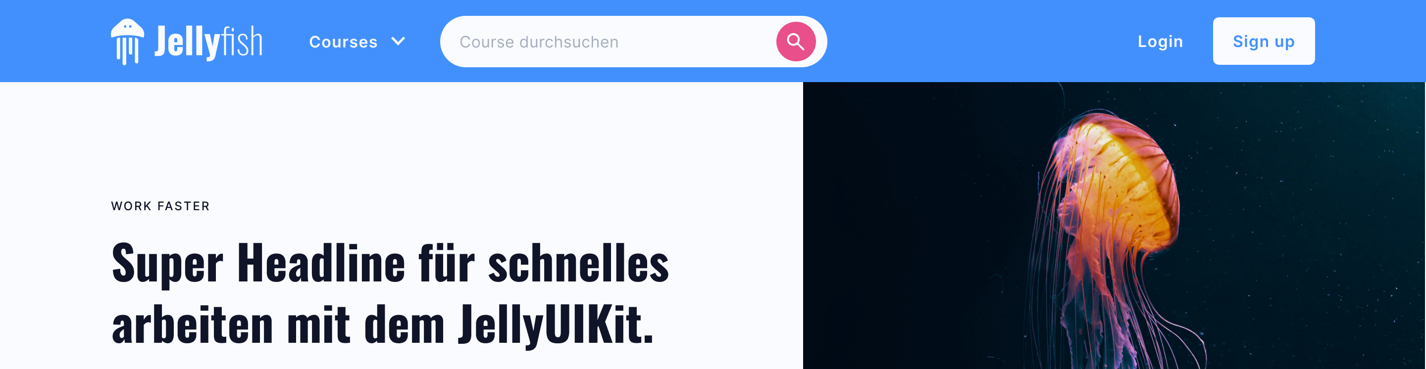 UI Kit Hero - Angelika Brand Illustratorin  Ui / Ux Designerin aus München